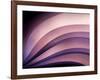 A Fan of Purple-Ursula Abresch-Framed Photographic Print
