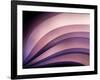 A Fan of Purple-Ursula Abresch-Framed Photographic Print