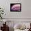 A Fan of Purple-Ursula Abresch-Framed Photographic Print displayed on a wall