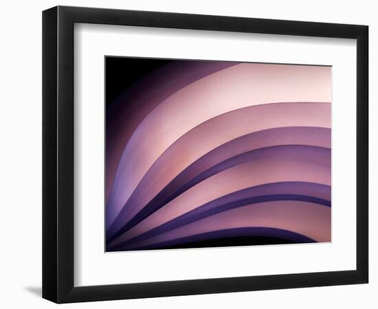 A Fan of Purple-Ursula Abresch-Framed Photographic Print