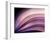 A Fan of Purple-Ursula Abresch-Framed Photographic Print