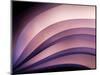 A Fan of Purple-Ursula Abresch-Mounted Photographic Print