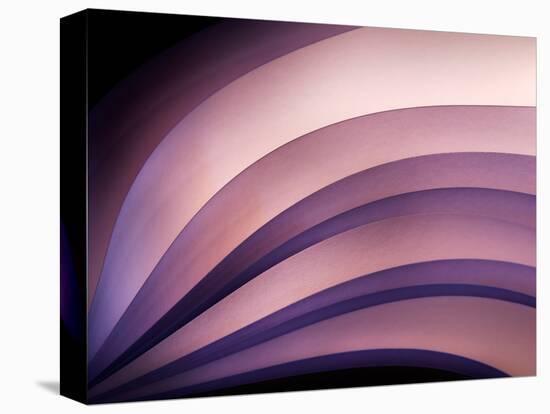 A Fan of Purple-Ursula Abresch-Stretched Canvas