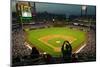 A fan with a digital camera taking a panoramic image of Citizens Bank Park, Philadelphia, PA, on...-null-Mounted Photographic Print