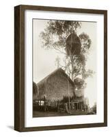 A Fantastic Treehouse at Ekiti Village, Sogeri, Papua New Guinea-null-Framed Photographic Print