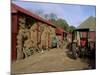 A Farm, Near Avoca, County Wicklow, Leinster, Eire (Republic of Ireland)-Michael Short-Mounted Photographic Print