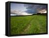 A farm road in Sabins Pasture in Montpelier, Vermont, USA-Jerry & Marcy Monkman-Framed Stretched Canvas