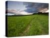 A farm road in Sabins Pasture in Montpelier, Vermont, USA-Jerry & Marcy Monkman-Stretched Canvas