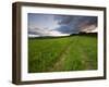 A farm road in Sabins Pasture in Montpelier, Vermont, USA-Jerry & Marcy Monkman-Framed Photographic Print