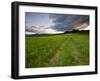 A farm road in Sabins Pasture in Montpelier, Vermont, USA-Jerry & Marcy Monkman-Framed Photographic Print