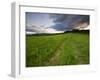 A farm road in Sabins Pasture in Montpelier, Vermont, USA-Jerry & Marcy Monkman-Framed Photographic Print