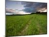 A farm road in Sabins Pasture in Montpelier, Vermont, USA-Jerry & Marcy Monkman-Mounted Photographic Print