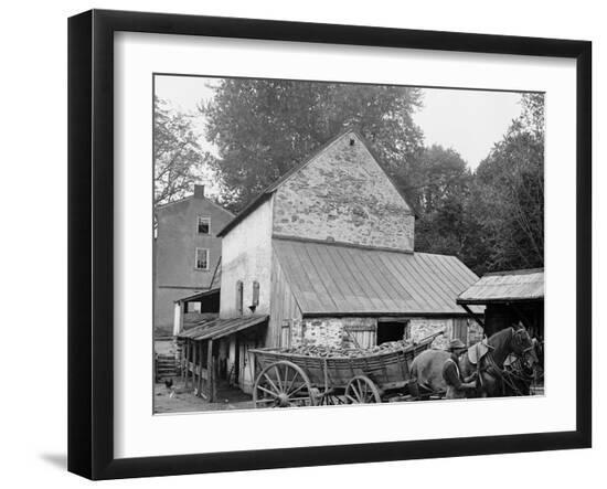 Photo, , large