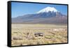 A Farmer Crosses a Landscape Below a Volcano in Sajama National Park-Alex Saberi-Framed Stretched Canvas