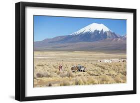 A Farmer Crosses a Landscape Below a Volcano in Sajama National Park-Alex Saberi-Framed Premium Photographic Print