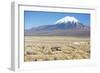 A Farmer Crosses a Landscape Below a Volcano in Sajama National Park-Alex Saberi-Framed Premium Photographic Print