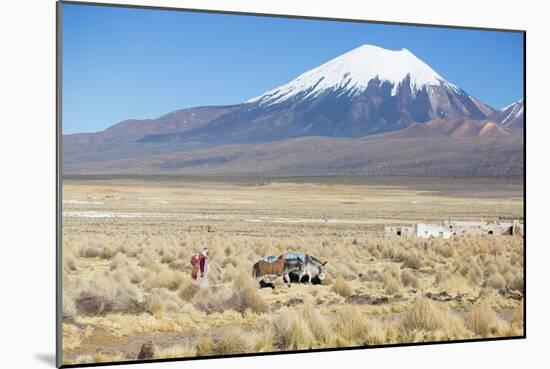 A Farmer Crosses a Landscape Below a Volcano in Sajama National Park-Alex Saberi-Mounted Photographic Print