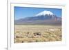 A Farmer Crosses a Landscape Below a Volcano in Sajama National Park-Alex Saberi-Framed Photographic Print