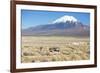 A Farmer Crosses a Landscape Below a Volcano in Sajama National Park-Alex Saberi-Framed Photographic Print