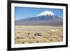 A Farmer Crosses a Landscape Below a Volcano in Sajama National Park-Alex Saberi-Framed Photographic Print