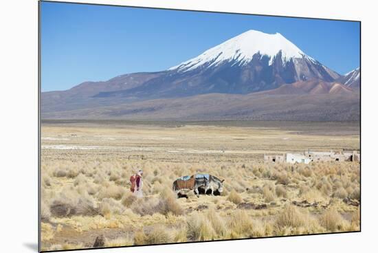 A Farmer Crosses a Landscape Below a Volcano in Sajama National Park-Alex Saberi-Mounted Photographic Print