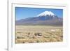 A Farmer Crosses a Landscape Below a Volcano in Sajama National Park-Alex Saberi-Framed Photographic Print