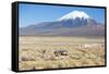 A Farmer Crosses a Landscape Below a Volcano in Sajama National Park-Alex Saberi-Framed Stretched Canvas