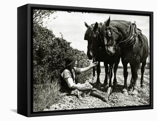 A Farmer Takes a Break with His 2 Horses after Ploughing His Field, 1934-null-Framed Stretched Canvas