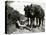 A Farmer Takes a Break with His 2 Horses after Ploughing His Field, 1934-null-Stretched Canvas