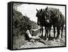 A Farmer Takes a Break with His 2 Horses after Ploughing His Field, 1934-null-Framed Stretched Canvas