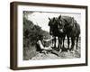 A Farmer Takes a Break with His 2 Horses after Ploughing His Field, 1934-null-Framed Premium Photographic Print