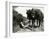 A Farmer Takes a Break with His 2 Horses after Ploughing His Field, 1934-null-Framed Photographic Print