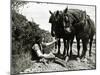 A Farmer Takes a Break with His 2 Horses after Ploughing His Field, 1934-null-Mounted Photographic Print