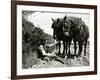 A Farmer Takes a Break with His 2 Horses after Ploughing His Field, 1934-null-Framed Photographic Print