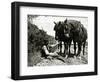 A Farmer Takes a Break with His 2 Horses after Ploughing His Field, 1934-null-Framed Photographic Print