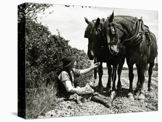 A Farmer Takes a Break with His 2 Horses after Ploughing His Field, 1934-null-Stretched Canvas