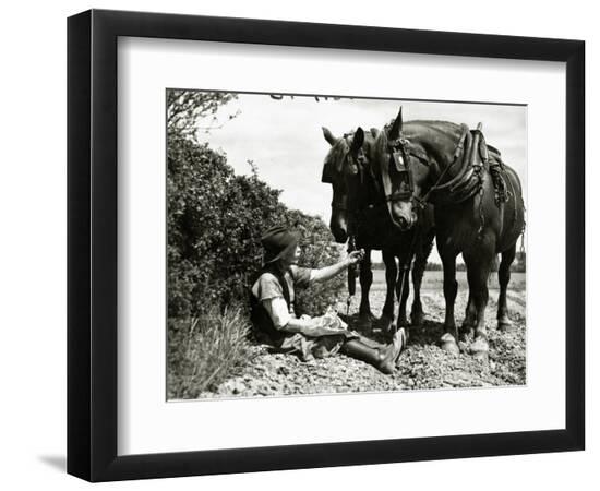 Photographic Print, , large