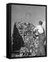 A Farmer Unloading a Truckful of Sweet Corn-null-Framed Stretched Canvas