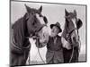 A Farmer with His Horses, 1962-null-Mounted Photographic Print