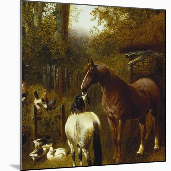 A Farmyard Scene-John Frederick Herring II-Mounted Giclee Print