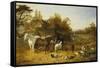 A Farmyard with Horses and Ponies, Berkshire, Saddlebacks, Alderney Shorthorn Cattle, Bantams,…-John Frederick Herring I-Framed Stretched Canvas