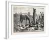 A Fashionable Watering Place. Horse, Geese, Chicken, Outdoor, Farm, 1876-null-Framed Giclee Print