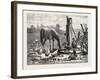 A Fashionable Watering Place. Horse, Geese, Chicken, Outdoor, Farm, 1876-null-Framed Giclee Print