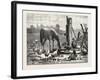 A Fashionable Watering Place. Horse, Geese, Chicken, Outdoor, Farm, 1876-null-Framed Giclee Print