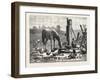 A Fashionable Watering Place. Horse, Geese, Chicken, Outdoor, Farm, 1876-null-Framed Giclee Print