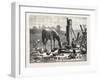 A Fashionable Watering Place. Horse, Geese, Chicken, Outdoor, Farm, 1876-null-Framed Giclee Print