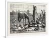 A Fashionable Watering Place. Horse, Geese, Chicken, Outdoor, Farm, 1876-null-Framed Giclee Print