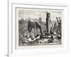 A Fashionable Watering Place. Horse, Geese, Chicken, Outdoor, Farm, 1876-null-Framed Giclee Print