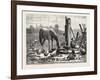 A Fashionable Watering Place. Horse, Geese, Chicken, Outdoor, Farm, 1876-null-Framed Giclee Print