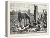 A Fashionable Watering Place. Horse, Geese, Chicken, Outdoor, Farm, 1876-null-Stretched Canvas